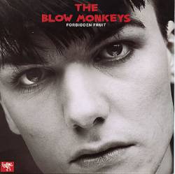 The Blow Monkeys : Forbidden Fruit